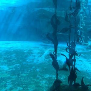 Meet your Posher, Lena